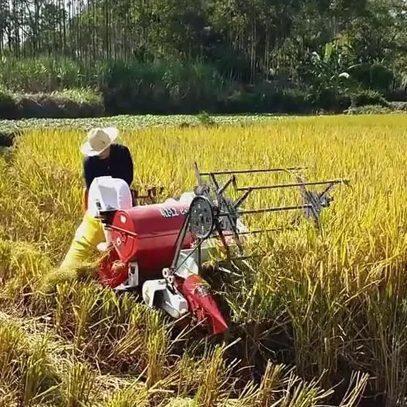 Combine Harvester Mini - 자동 13마력 신형 밀 쌀 수확기