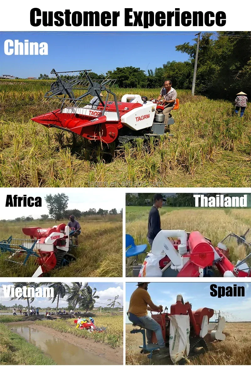 자동 13마력 신형 밀 쌀 수확기 쿠보타 줌리온 Yto - Combine Harvester Mini 리뷰 및 가격